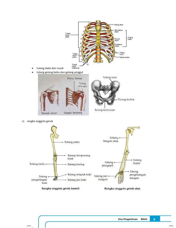 tugas IPA kelas 8 pertemuan 3_003