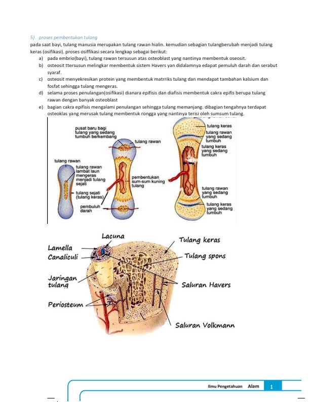 tugas IPA kelas 8 pertemuan 3_004