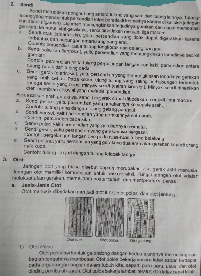 WhatsApp Image 2020-08-05 at 09.47.49