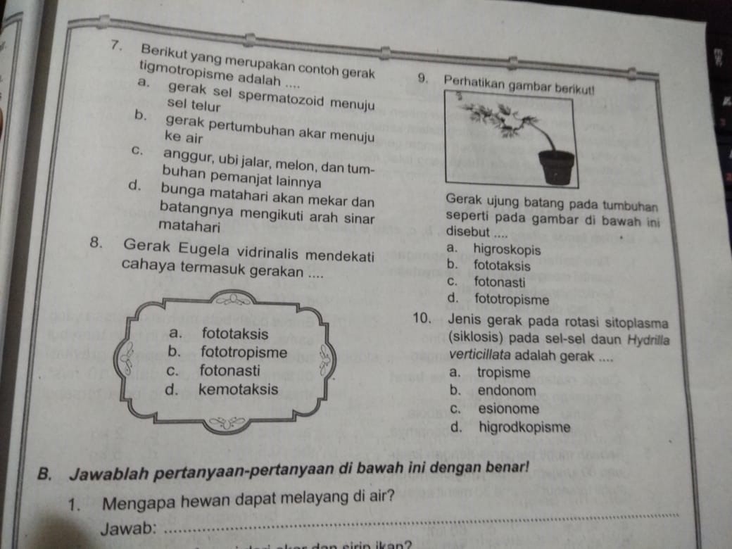 WhatsApp Image 2020-09-03 at 09.33.19