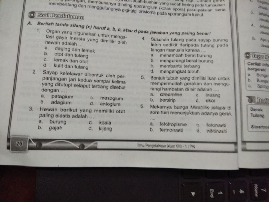 WhatsApp Image 2020-09-03 at 09.33.19(1)